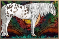 Horse Color:Liver Chestnut Appaloosa