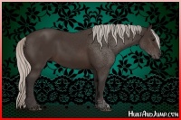 Horse Color:Silver Brown 
