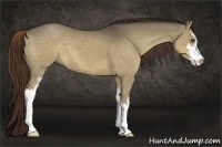 Horse Color:Liver Red Dun Sabino 