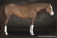 Horse Color:Liver Chestnut Sabino Splash