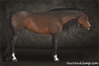 Horse Color:Liver Chestnut Sabino 