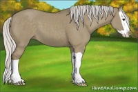 Horse Color:Silver Smoky Grullo Splash 