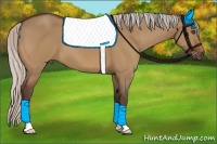 Horse Color:Silver Bay Dun 