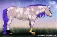 Horse Color:Watercolor Bay Ice Dun Sabino Rabicano