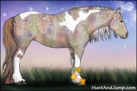 Horse Color:Nacre Liver Chestnut Ice Tobiano Rabicano