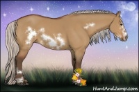 Horse Color:Silver Bay Dun Sabino Frame 