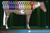 Horse Color:White Spotted Silver Black Varnish 