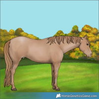 Horse Color:Black Pearl 