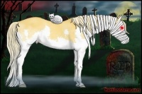 Horse Color:Watercolor Palomino Dun Splash 