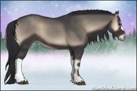 Horse Color:Blue Onyx 