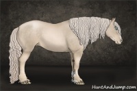 Horse Color:Chocolate Palomino Pearl Sabino