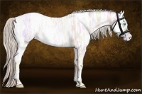 Horse Color:Chocolate Palomino Ice Pearl