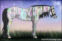 Horse Color:Black Ice 