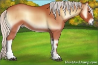 Horse Color:Silver Bay Onyx 