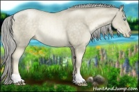 Horse Color:Chocolate Palomino Pearl Rabicano