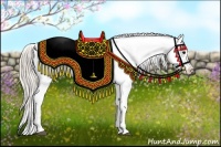 Horse Color:Silver Bay Appaloosa