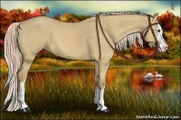 Horse Color:Palomino Dun Splash