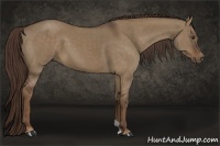 Horse Color:Liver Red Dun 