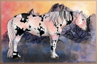 Horse Color:Watercolor White Spotted Silver Brown Ice Onyx Rabicano 