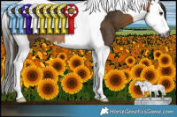 Horse Color:Gray Buckskin Splash Tobiano Rabicano