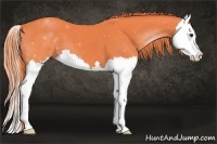 Horse Color:Watercolor Liver Chestnut Splash