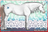 Horse Color:Red Dun Roan Splash Frame Blanket Rabicano 