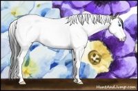 Horse Color:Smoky Grullo Splash Tobiano