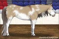 Horse Color:White Spotted Liver Red Dun Splash Frame Rabicano