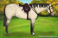 Horse Color:Buckskin Roan Dun 