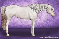 Horse Color:Chestnut Varnish  and Chestnut Varnish 
