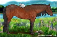 Horse Color:Brown Brindle