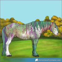 Horse Color:Watercolor White Spotted Chocolate Brown and Watercolor White Spotted Chocolate Brown