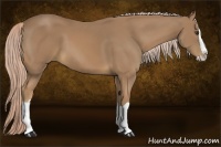 Horse Color:Palomino Splash 
