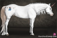 Horse Color:White Spotted Brown Tobiano Blanket  and Buckskin Tobiano Blanket 