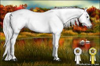 Horse Color:Gray White Spotted Bay Dun 