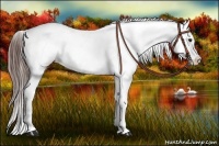 Horse Color:Red Onyx Sabino Snowcap