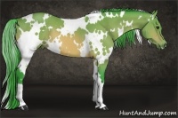 Horse Color:Watercolor White Spotted Buckskin 