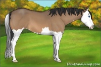 Horse Color:Bay Roan Dun Splash 