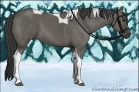Horse Color:Grullo Tobiano