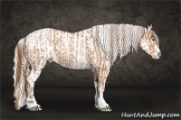 Horse Color:Brown Pearl Sabino and Silver Black Pearl Sabino Appaloosa