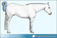 Horse Color:White Spotted Buckskin Splash Frame 