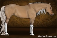 Horse Color:Silver Bay Dun 