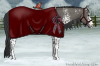 Horse Color:White Spotted Grullo  and White Spotted Grullo 