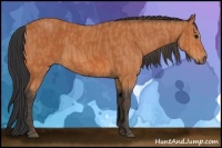 Horse Color:Bay  Brindle