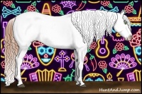 Horse Color:Chocolate Buckskin Appaloosa and Chocolate Buckskin Appaloosa