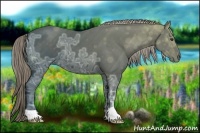 Horse Color:Liver Chestnut Ice 