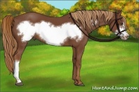 Horse Color:Chestnut Frame 