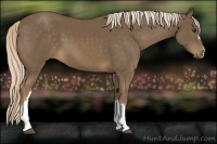 Horse Color:Chocolate Palomino