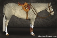 Horse Color:Chocolate Palomino 