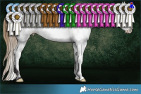 Horse Color:Buckskin Roan Appaloosa Rabicano 